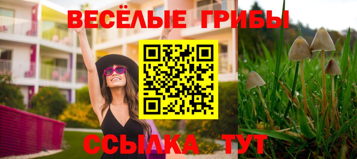 Псилоцибиновые грибы Psilocybe  Галлюциногенные грибы Cubensis  Верхняя Пышма  Вход с VPN 